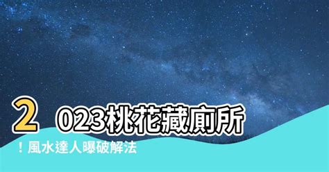 2023桃花位在洗手間